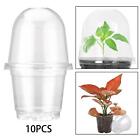 Pack of 10 humidity dome plant pots, plant cups, starter trays