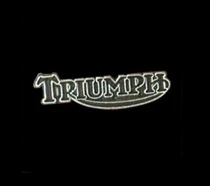 Triumph Motorcycle Biker Vest Pin Made in the USA Motorcycle Jacket Pin - Picture 1 of 3