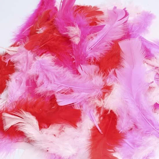Loose Feathers 💕 CoLoReD 💕 Dyed Goose Guinea Crafts Floral Kids Crafts $Ship - Image 1 of 1