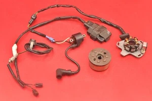 2006 01-07 SUZUKI RM125 RM 125 CDI Black Box Stator Flywheel Rotor Harness Coil - Foto 1 di 13