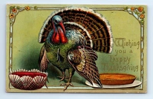Happy Thanksgiving Live Turkey Pumpkin Pie Cranberries Embossed Postcard 1907 - Picture 1 of 2