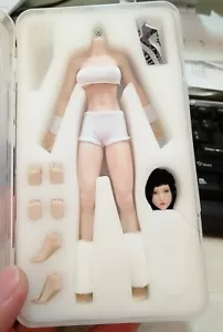 Figura esqueleto de metal súper flexible sin costuras con cuerpo pálido femenino de 1/12 EE. UU. - Imagen 1 de 12