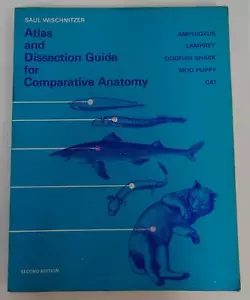 Atlas und Dissektion Leitfaden für vergleichende Anatomie 1972 Saul Wischnitzer 2. Aufl. - Bild 1 von 11