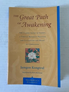 Der große Weg des Erwachens: Der klassische Leitfaden für Lojong von Jamgon Kongtrul PB - Bild 1 von 10