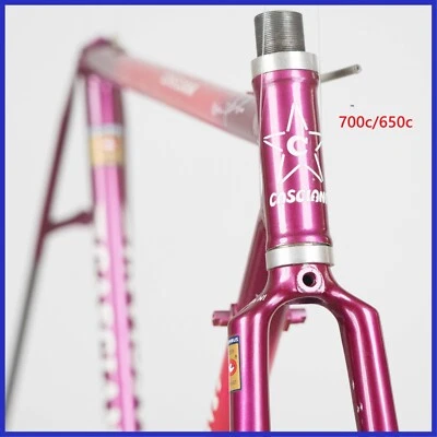 CASCIANI TIME TRIAL STEEL FRAME 90s VINTAGE ROAD TRIATHLON COLUMBUS OLD 700c 650 - Image 1 of 4