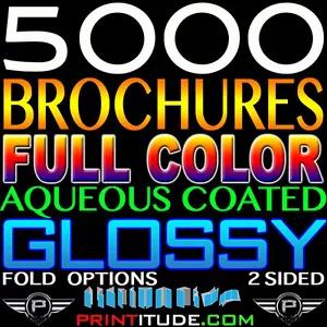 5000 BROCHURE 6" X 9" FULL COLOR 2 SIDED 6X9 100LB GLOSSY AQUEOUS COATED, FOLDED - Picture 1 of 1
