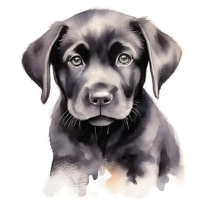 Pegatina coche pegatina labrador pegatina - Imagen 1 de 1