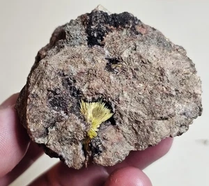 Seltenes Urano-Phan Kristall Spray in Matrix - aus Madawaska/Faraday Mine Ontario - Bild 1 von 8