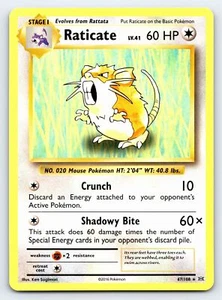 Tarjeta Pokémon Raticate 67/108 Rara XY Evoluciones - Casi Nueva - Imagen 1 de 5