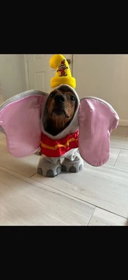 Encantador Disfraz Disney Dumbo para Mascotas - Tamaño Mediano, Perfecto para Eventos Divertidos Foto 1 de 4