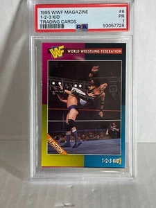 1995 WWE/WWF Magazine Insert 1 2 3 KID PSA - Picture 1 of 1