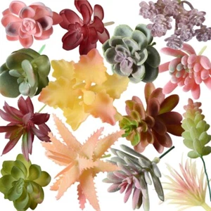Künstliche Sukkulenten mini Diverse Künstliche Sukkulenten 14 DIY Dekorationsset - Bild 1 von 11
