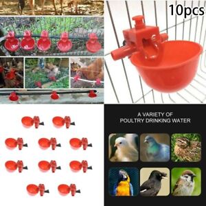 Hühnertränke Automatischer Plastikbecher für Geflügel 10 Stück Set