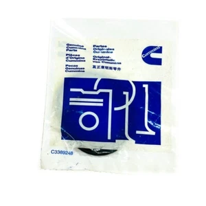 Genuine Cummins 3902089 Water Seal O-Ring - Made in USA - Bild 1 von 3