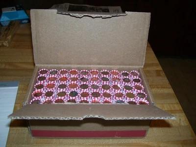 Caja de valor nominal de $25 centavos Lincoln de Estados Unidos 50 rollos sellados de banco sin buscar Foto 1 de 3