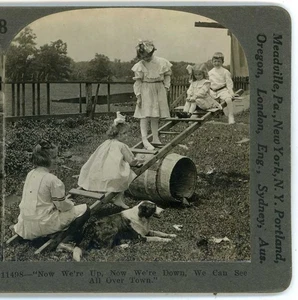 Children on a makeshift See-Saw with their dog Keystone Stereoview c1910 - Picture 1 of 3