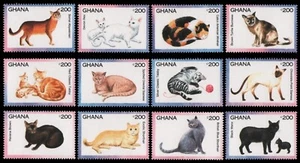 Ghana 1994 - n. Michel 1994-2005 ** - MNH - singolo - gatti/gatti - Foto 1 di 1