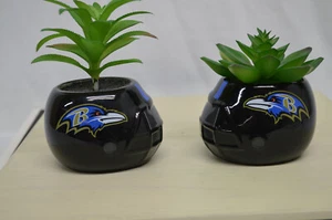 NUOVO Baltimore Ravens Casco da Calcio Finte Succulente Set di 2 - Foto 1 di 9