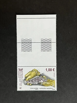 GandG Stamps France TAAF Yvert #474 Fauna Fish 2013 Gutter MNH OG - Image 1 of 2