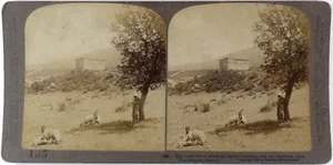 Grèce.Greece.Thermopylae.Thermopyles.Leonidas.Spartans.Photo Stereo.Stereoview. - Picture 1 of 2