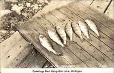 HOUGHTON LAKE MI Fishing Catch Old Real Photo RPPC Postcard