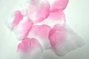500 ROSENBLÄTTER HOCHZEIT ROSENBLÜTEN TISCHDEKO STREUBLUMEN DEKO weiß PINK ROSA - Picture 1 of 10