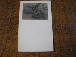 Vintage Unused Postcard Rattlesnake #554 Lindsley Foto Photo - Picture 1 of 3