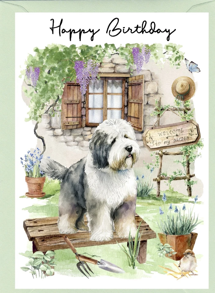 Old English Sheepdog (4"x 6") Birthday Card - blank inside - by Starprint - Image 1 of 1