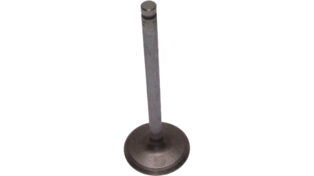 Подлинный впускной клапан двигателя GM 12568411 - Изображение 1 из 4