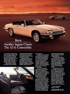 1989 Jaguar XJS Convertible: Born Another Jaguar Classic Vintage Print Ad - Picture 1 of 1