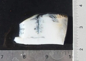 Losa lapidaria de sílex dendrítico a rayas T1277 - Imagen 1 de 10