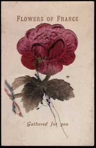 Blumen Frankreichs für Sie gesammelt Filz Postkarte - Bild 1 von 2