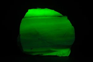 JH14282 Large Fluorescent Common Opal, Virgin Valley, NV - Picture 1 of 4