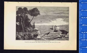 Prehistoric Dinosaurs in the Age of Ocean Reptiles - 1925 Page of History - Picture 1 of 1