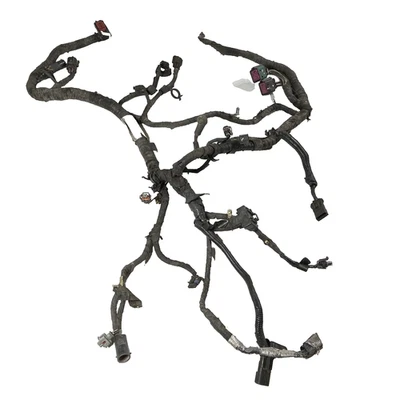 Arnés de motor Powerstroke diésel Ford F250 F350 2005 2006 2007 6,0 1855214-C92 Foto 1 de 4