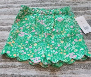 Crown and Ivy Girl Kelly Green Pink Floral Short Scalloped Elastic Waist 6x Fall - Picture 1 of 4