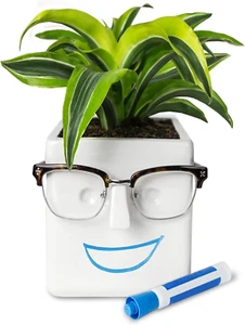 Face Plant, Novelty Planter Holds Small , Glasses & You Can Draw on It. Elegant - Picture 1 of 12