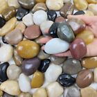 5lb River Rocks Pebbles for Indoor Plants, Decorative Mixed 1-2 inch 5.0 Pounds