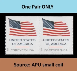 US 6017 Flagge F Coil Paar (aus APU Small Coil) MNH 2025 - Bild 1 von 3