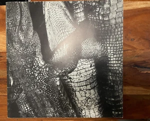 Debbie Fleming Caffery SIGNED Book Magazine Art - Imagen 1 de 3