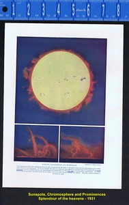 Sonnenflecken, Chromosphäre und Prominenzen - Astronomiedruck 1931 - Bild 1 von 1