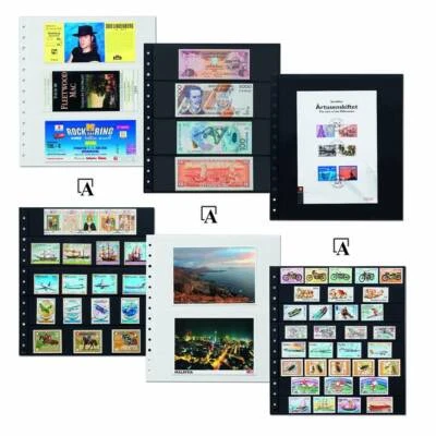 Leuchtturm R-Tafeln 5er-Pack klar od. schwarz verschiedene Einteilungen aussuche