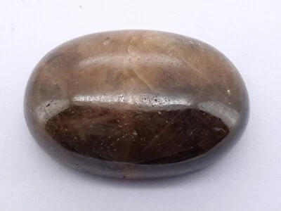 312.80 Ct Natural Untreated EGL Certified Oval Cab Bi-Color Huge Sapphire - Image 1 of 4