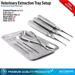 Veterinary Dental Extraction Tray Kit Coupland Elevator Bone Rongeur Plier Probe - Picture 1 of 7