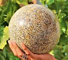 Polished 20cm White Dalmatian Jasper Crystal Healing Stone Sphere Display Globe