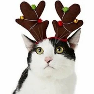 Simply Pet Holiday Reindeer Bell Antlers Christmas Ferret Cat Rabbit T Cup Dog - Picture 1 of 1
