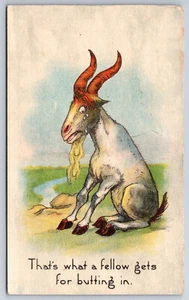 A415 Vintage Humerous Animal Postcard Billy Goat Bearded Horns Siting Butting - Picture 1 of 2