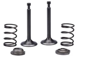 Intake Exhaust Valve Spring Set For Ryobi RY903600 3600 4500 Watts Generator - Picture 1 of 1