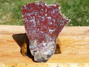 TCR RED LIGHTNING MOSS AND PLUME AGATE/JASPER/LAPIDARY ROUGH SLAB 181 GRAMS - Picture 1 of 5