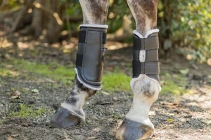 Euro Pro Askan Hind Boots - Picture 1 of 16